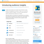 Twitter details Audience Insights